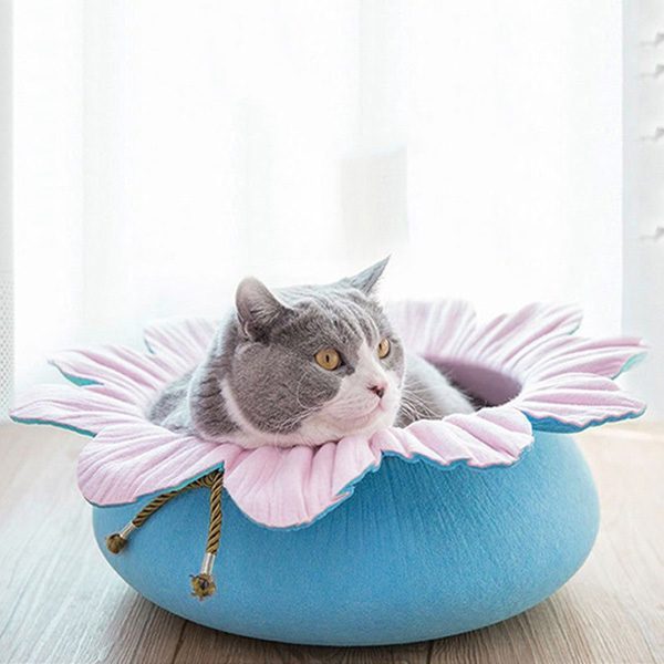 Pets Çiçek Şekilli Kedi Yatağı PembeMavi  50 cm - Lisinya