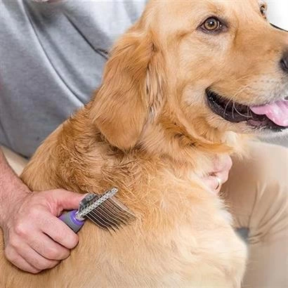 Düğüm Açıcı Pet Fırçası Emniyetli Uzun Ve Çelik Dişli Kedi Köpek Tüy Kıtık Açma Tarağı ( Lisinya )