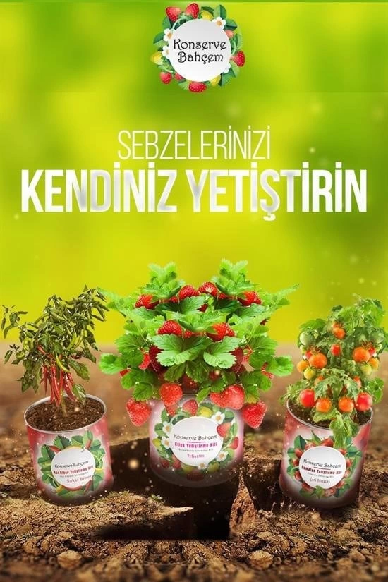 Konserve Bahçem Evde Konservede İri Maydanoz Yetiştirme Kiti