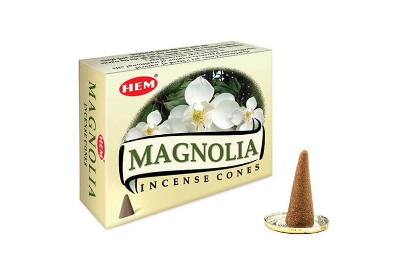 Magnolia Cones ( Lisinya )