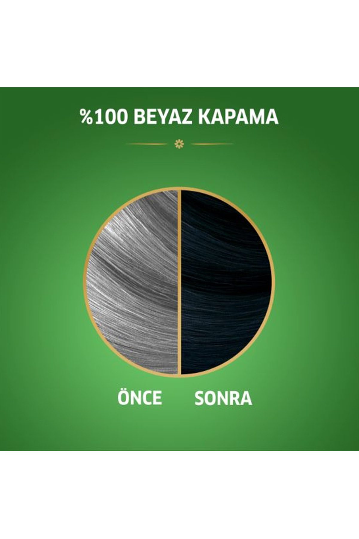 Naturals Saç Boyası Böğürtlen Siyahı 2/8 - Lisinya