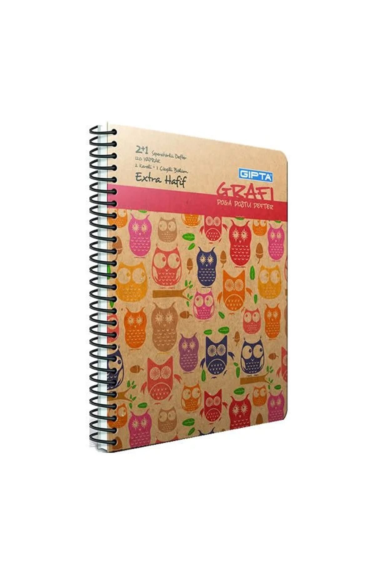 Gıpta Grafi 17x24 120 Yaprak 2+1 Sert Kapaklı Defter - Lisinya