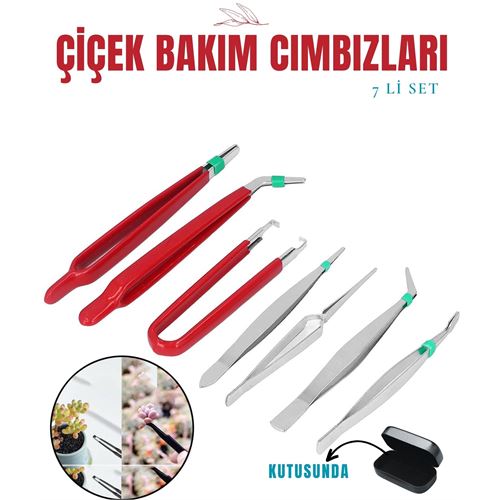 Lisinya Çiçek Bakım Kutulu Cımbız Seti - Lisinya