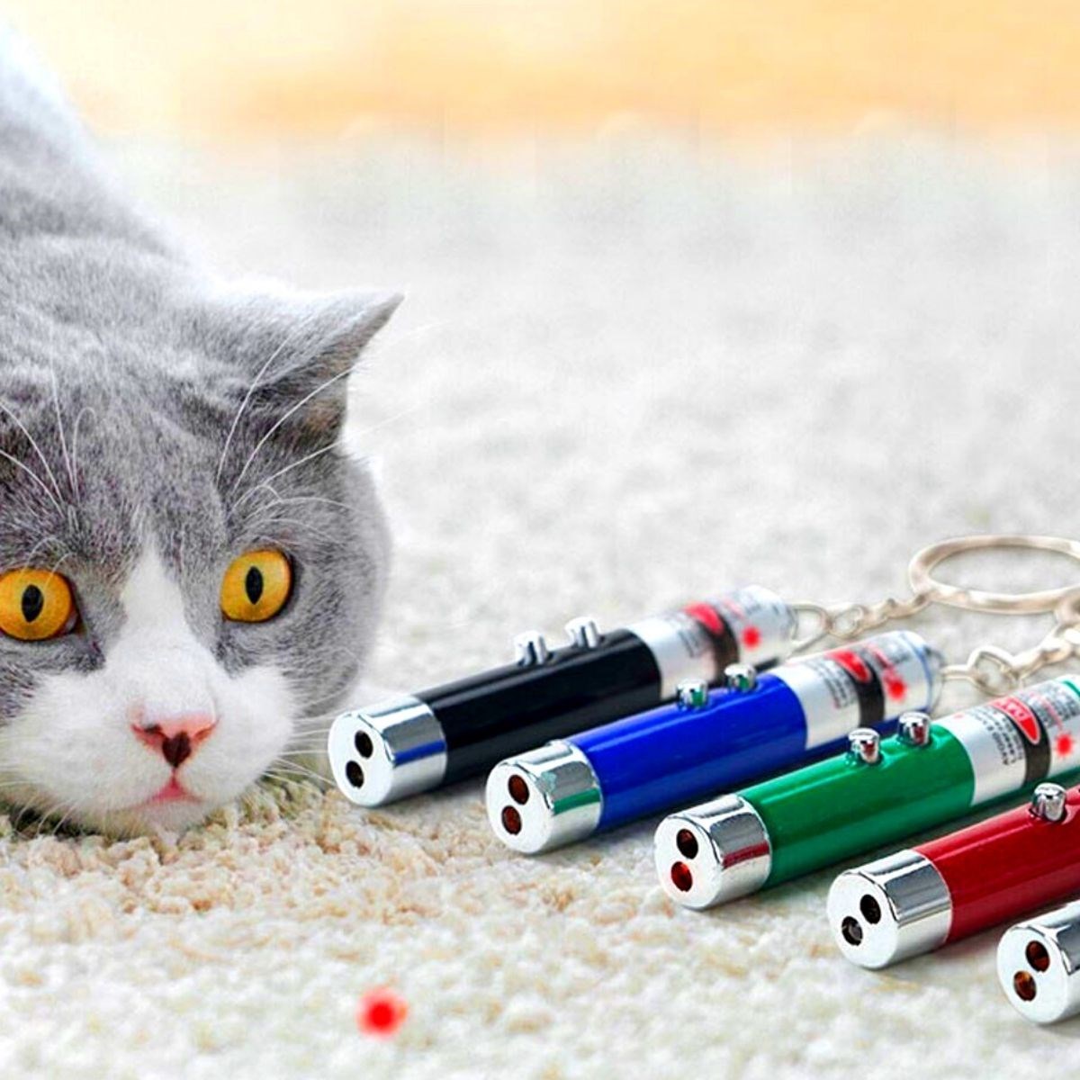 3 Fonksiyonlu Kırmızı Beyaz Işıklı Led Lazer Kedi Köpek Oyuncak Anahtarlık (4767) - Lisinya