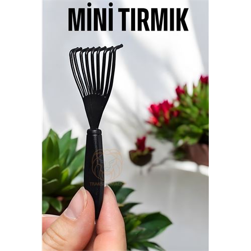 Lisinya Çiçek Toprağı Temizleme Tırmığı Mini Tırmık - Lisinya