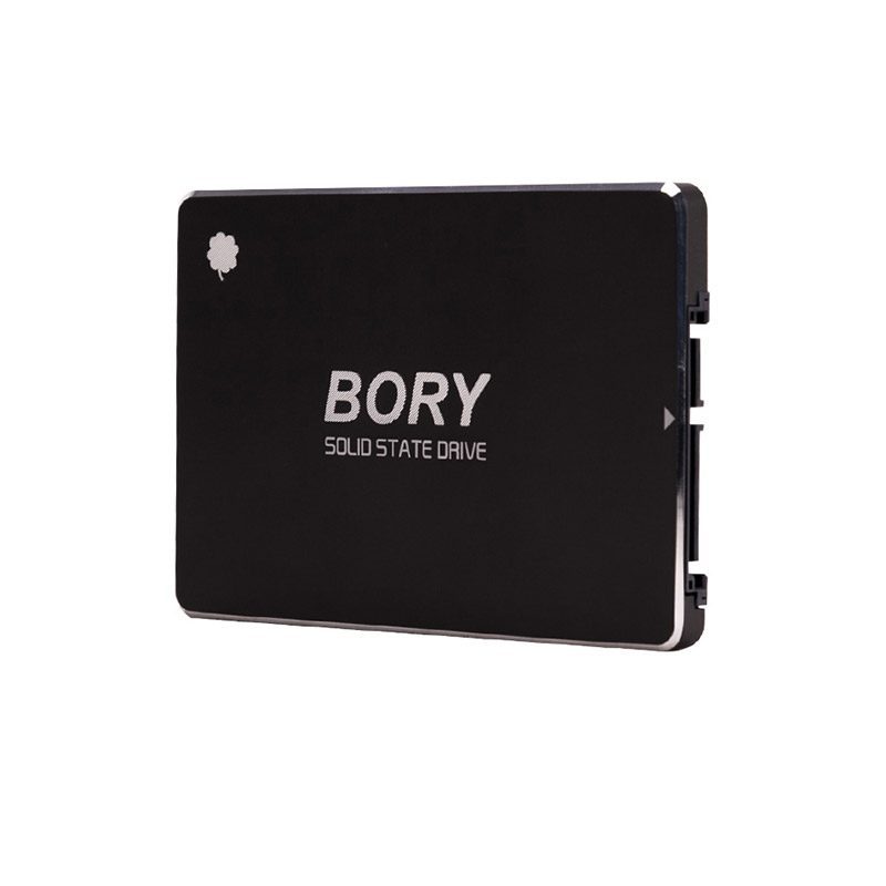 Bory R500-c128g Sata3 128 Gb Ssd 550/510 Mbs Harddisk (4172)