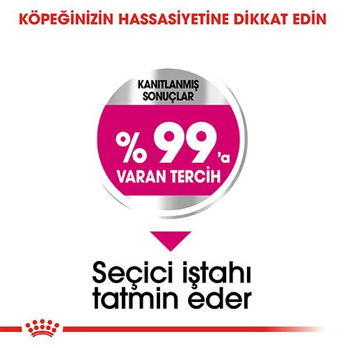 Royal Canin Mini Exigent Yetişkin Köpek Maması 3 Kg - Lisinya