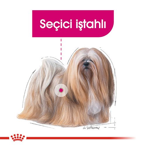 Royal Canin Mini Exigent Yetişkin Köpek Maması 3 Kg - Lisinya