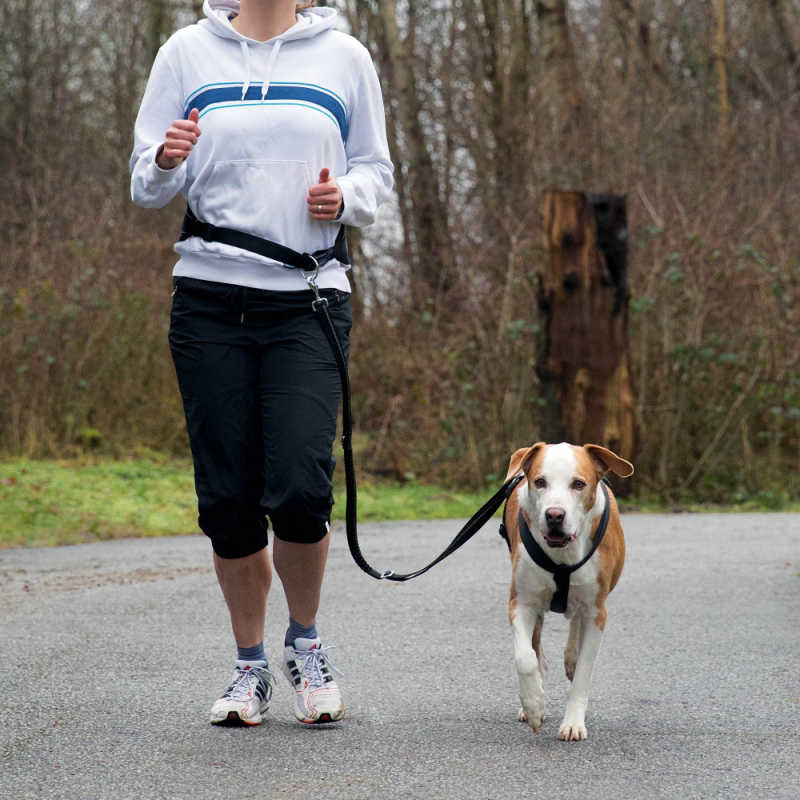 Trixie Köpek Koşu Yürüyüş Bel Kemeri Ve Kayışı - Lisinya