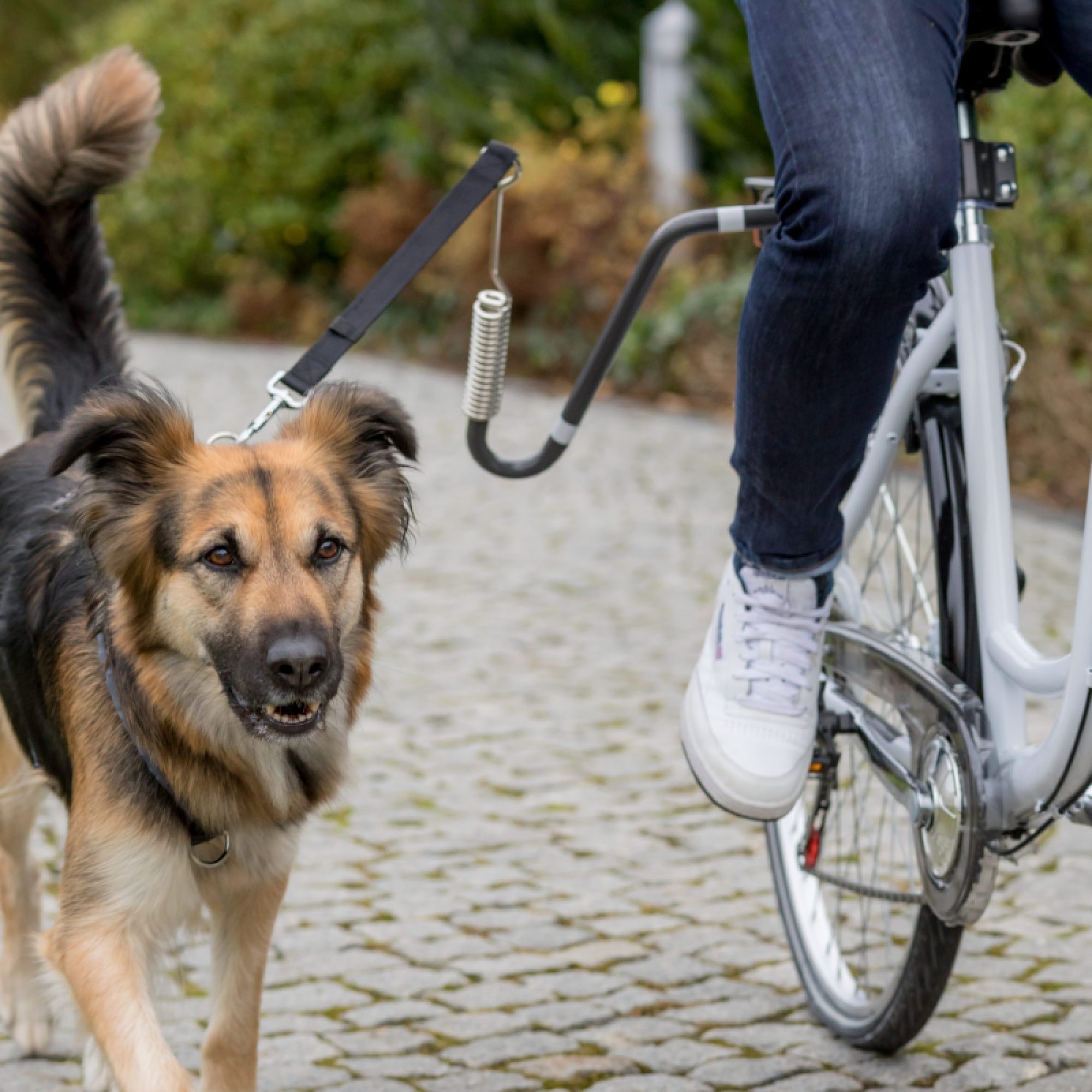 Trixie Bisiklet İçin Köpek Yürütme Aparatı  U Şeklinde  M-XL Köpek Irkları İçin - Lisinya