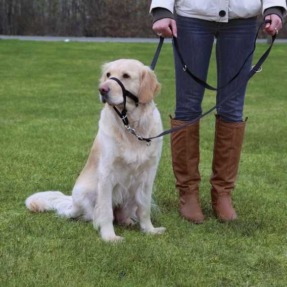 Trixie Uzman Köpek Eğitim Tasması L 31cm - Lisinya