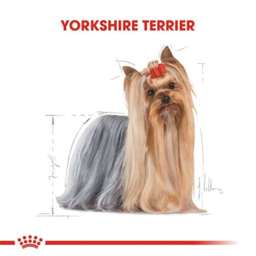 Royal Canin Yorkshire Terrier Adult Pouch Köpek Maması 85 Gr - Lisinya