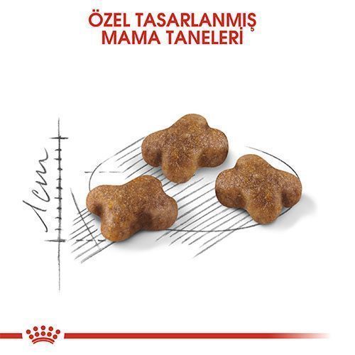 Royal Canin Kitten Yavru Kedi Maması 2 Kg - Lisinya