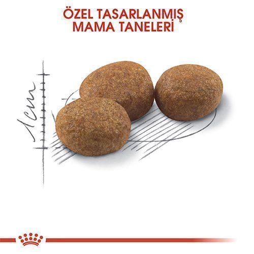 Royal Canin Sterilised Kısırlaştırılmış Kedi Maması 400 Gr - Lisinya