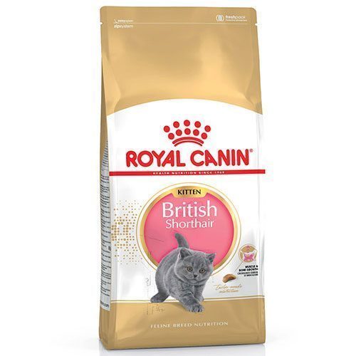 Royal Canin British Shorthair Kitten Yavru Kedi Maması 2 Kg - Lisinya