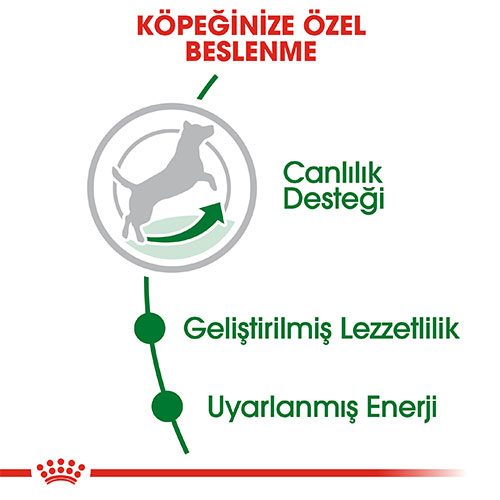 Royal Canin Mini Adult 8+ Küçük Irk Yaşlı Köpek Maması 2 Kg - Lisinya