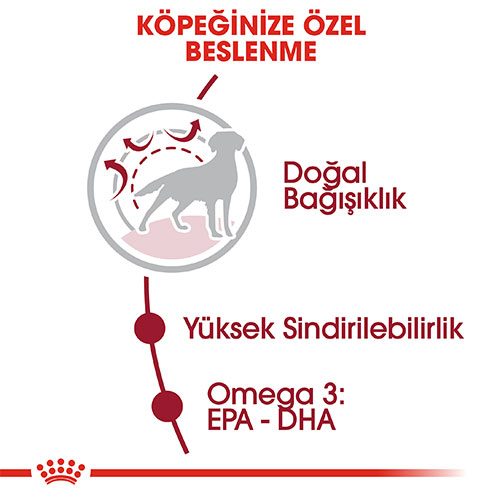 Royal Canin Medium Adult Yetişkin Köpek Maması 15Kg - Lisinya