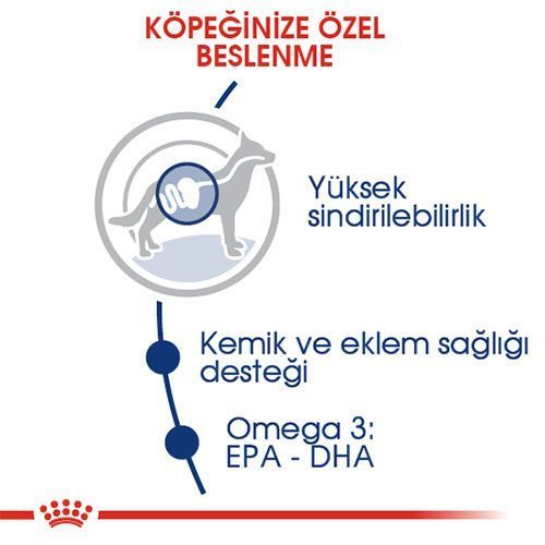 Royal Canin Maxi Adult Büyük Irk Yetişkin Köpek Maması 15 Kg - Lisinya