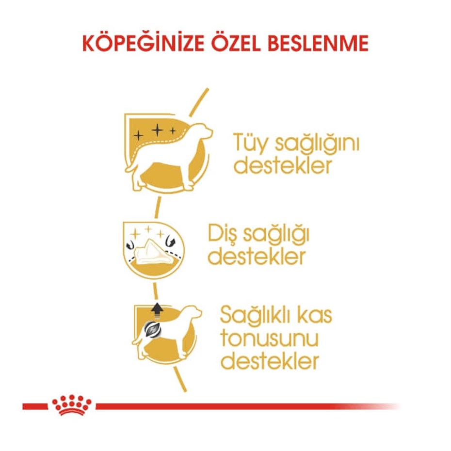 Royal Canin Poodle Yetişkin Köpek Maması 3 Kg - Lisinya