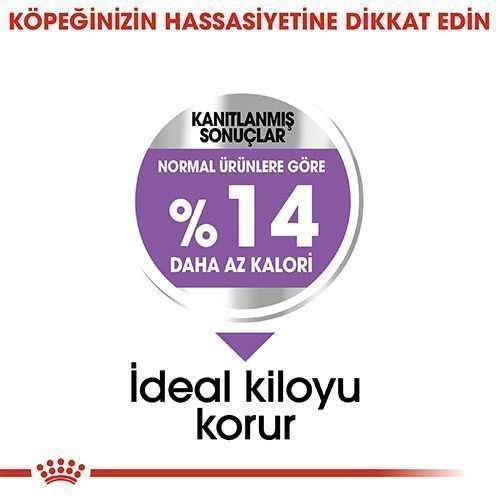 Royal Canin Mini Sterilised Kısırlaştırılmış Yetişkin Köpek Maması 3 Kg - Lisinya