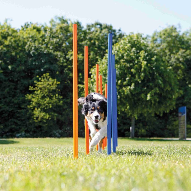 Trixie Köpek Agility Eğitim Direkleri - Lisinya