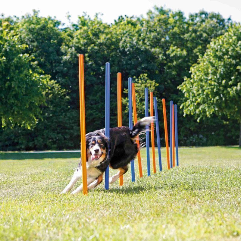 Trixie Köpek Agility Eğitim Direkleri - Lisinya