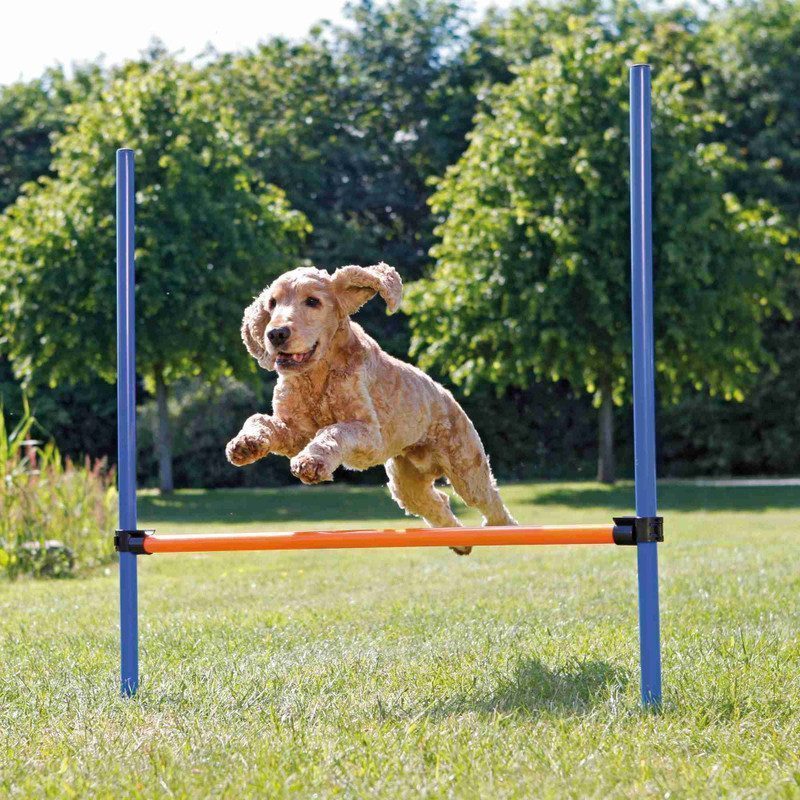 Trixie Köpek Agility Eğitim Manisi   129×115×Ø3 cm - Lisinya