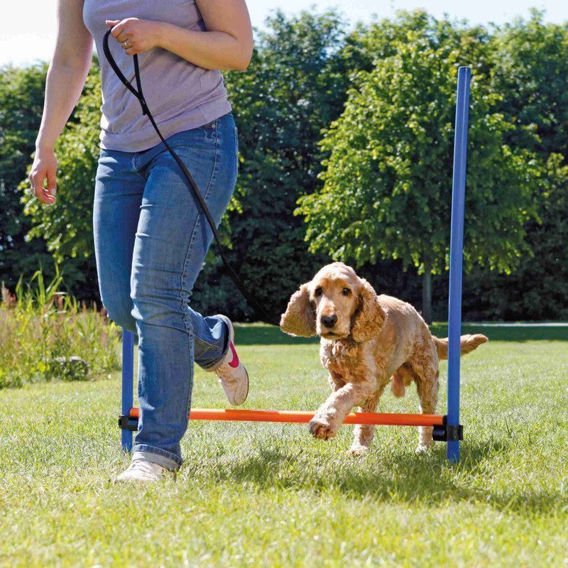 Trixie Köpek Agility Eğitim Manisi   129×115×Ø3 cm - Lisinya