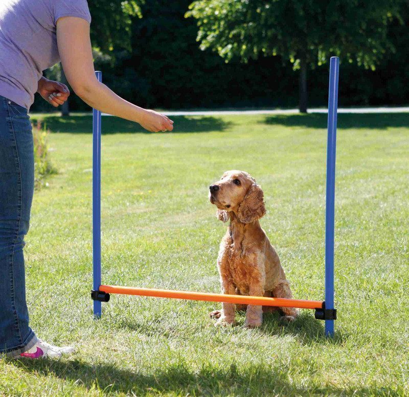 Trixie Köpek Agility Eğitim Manisi   129×115×Ø3 cm - Lisinya