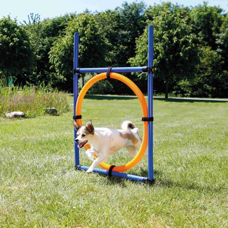 Trixie Köpek Agility Eğitim Çemberi 115× 3cm, 65C - Lisinya