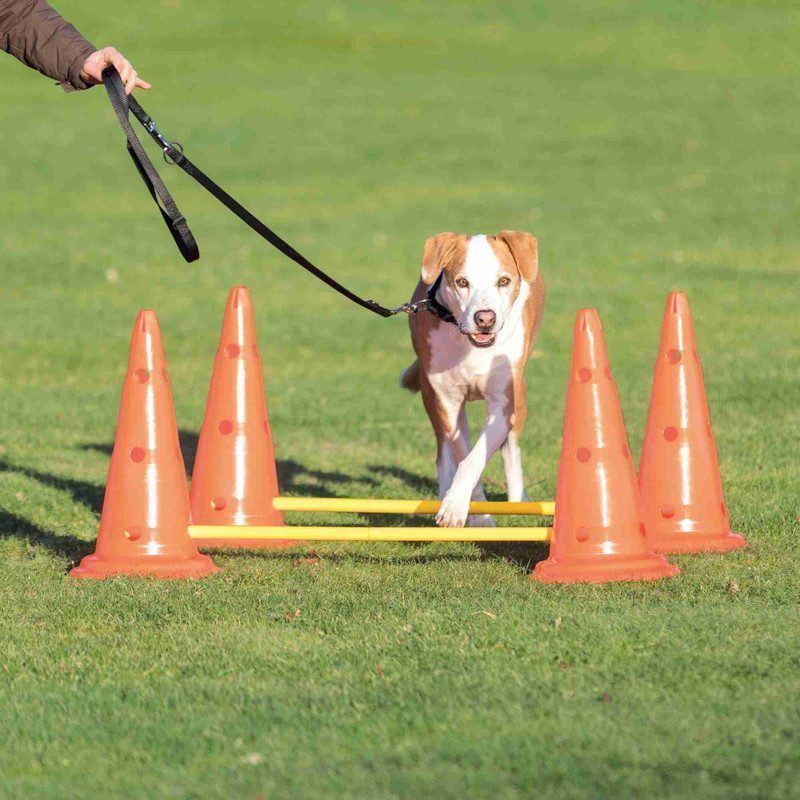 Trixie Köpek Agility Oyuncağı 2 Ad  30X50cm 100cm - Lisinya