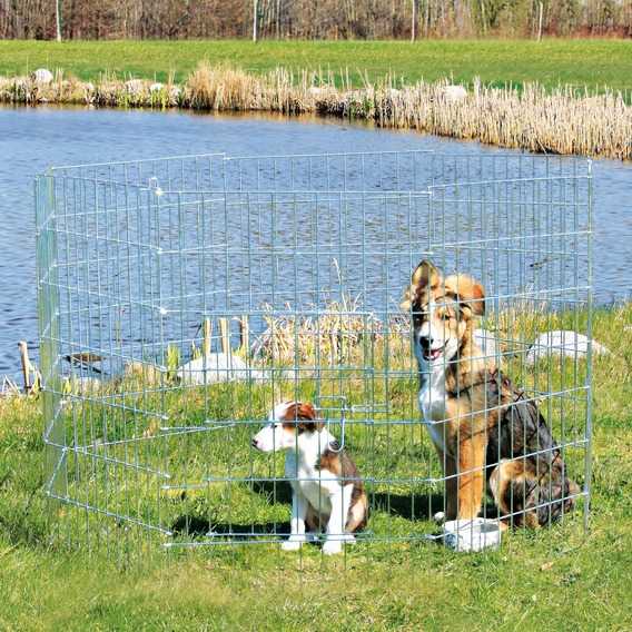 Trixie Yavru Ve Küçük Köpek Açık Hava Oyun Alanı - Lisinya