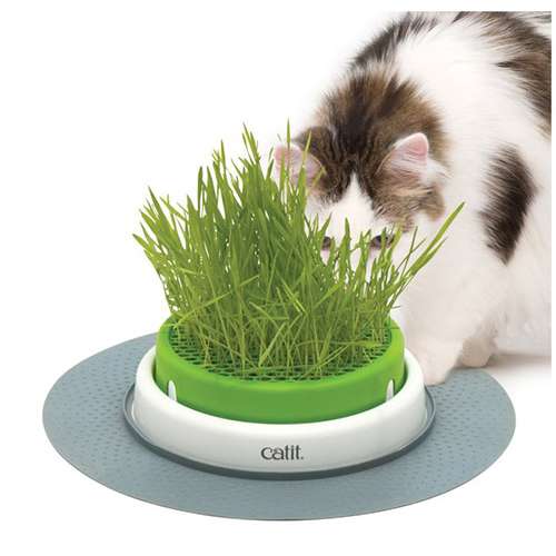 Catit Senses 20 Grass Planter - Lisinya