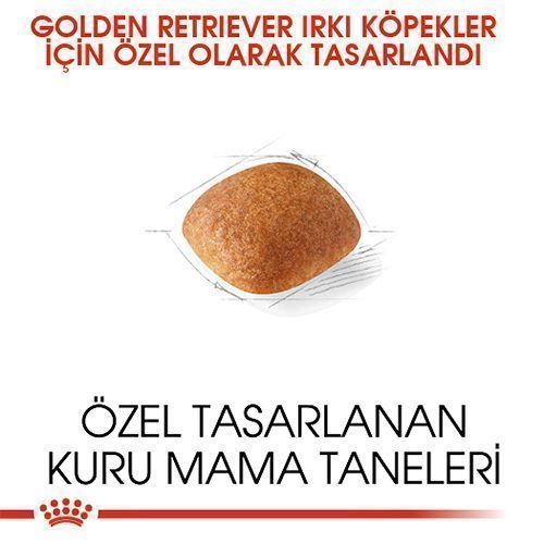 Royal Canin Golden Retriever Yetişkin Köpek Maması 12 Kg - Lisinya