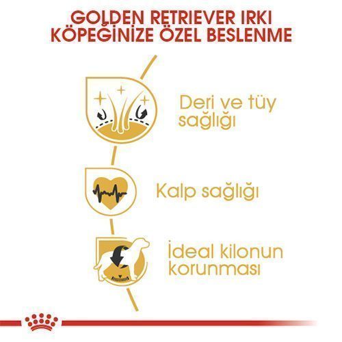 Royal Canin Golden Retriever Yetişkin Köpek Maması 12 Kg - Lisinya