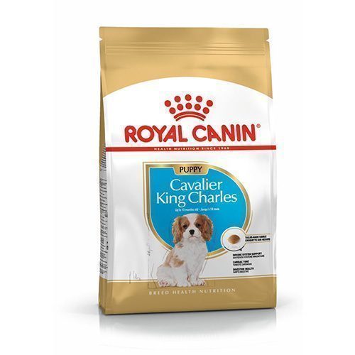 Royal Canin Cavalier King Charles Junior Yavru Köpek Maması 1,5 Kg - Lisinya