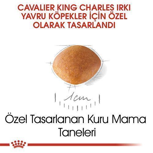 Royal Canin Cavalier King Charles Junior Yavru Köpek Maması 1,5 Kg - Lisinya