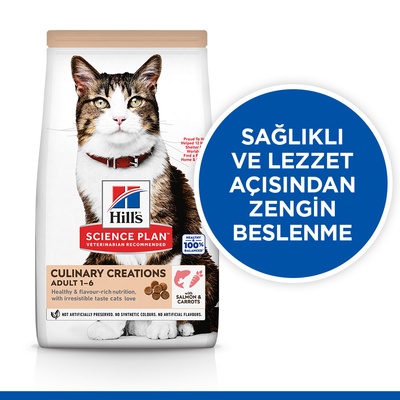 Hill's Yetişkin Somon ve Havuçlu Kedi Maması 10 Kg - Lisinya