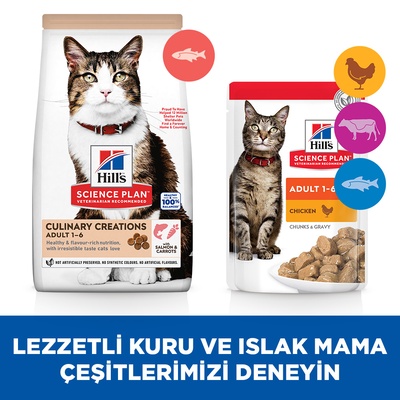 Hill's Yetişkin Somon ve Havuçlu Kedi Maması 10 Kg - Lisinya