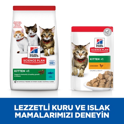 Hills Kitten Ton Balıklı Yavru Kedi Maması 1,5 Kg - Lisinya