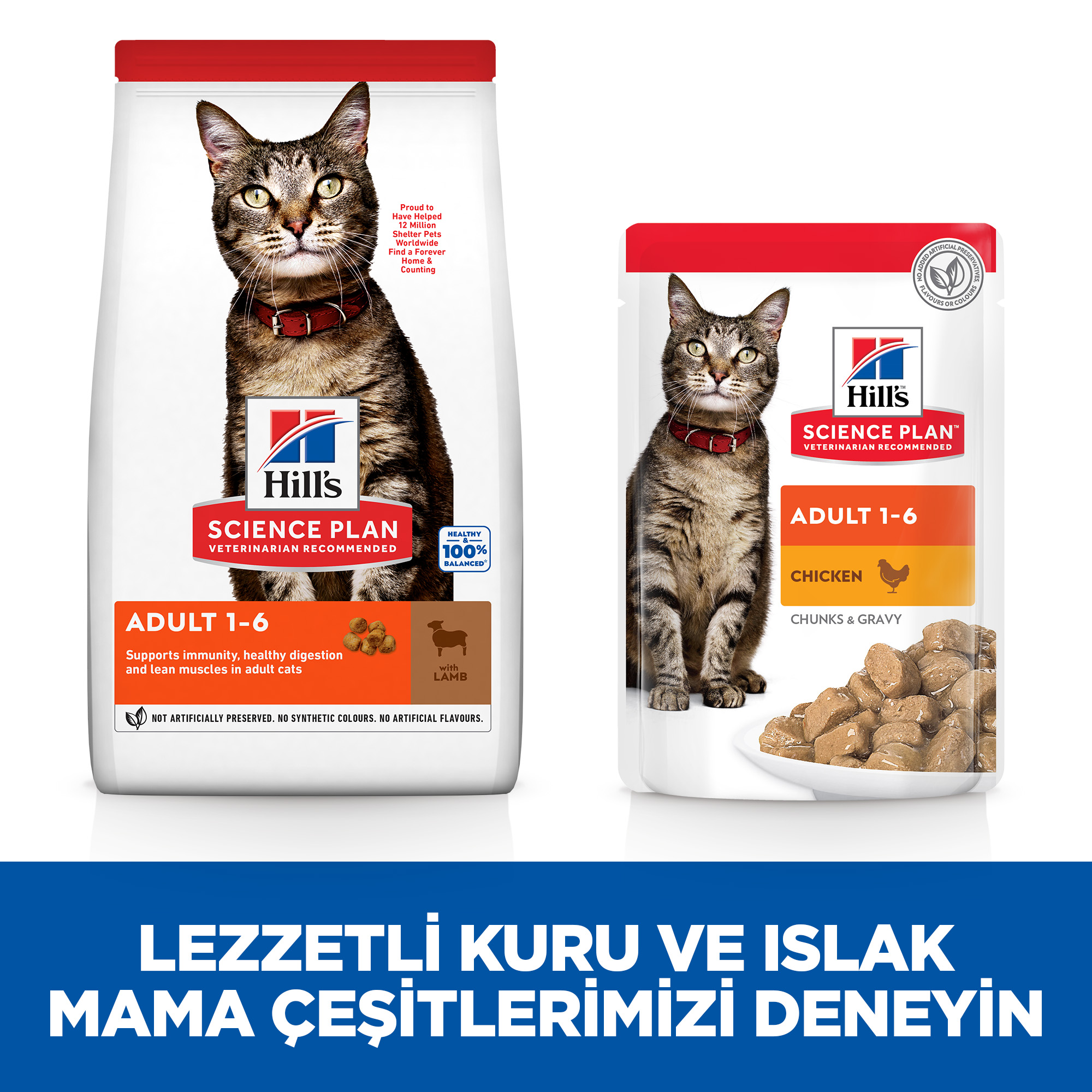 Hills Adult Kuzu Etli Yetişkin Kedi Maması 3 Kg - Lisinya