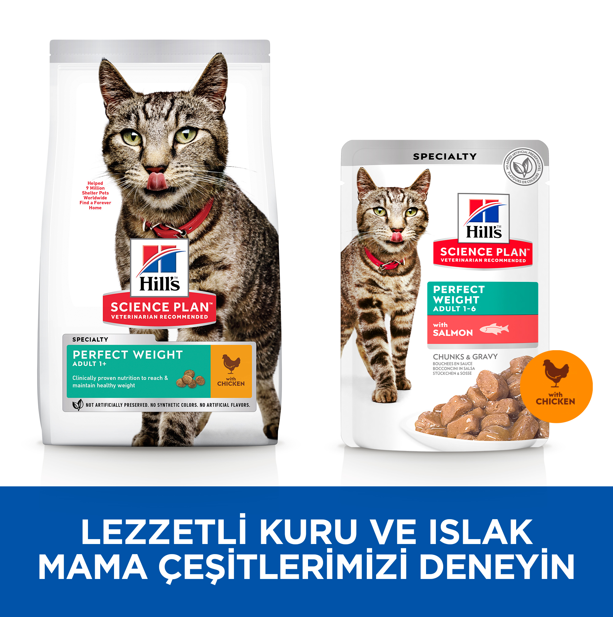 Hills Perfect Weight Yetişkin Tavuk Kedi Maması 2,5 Kg - Lisinya