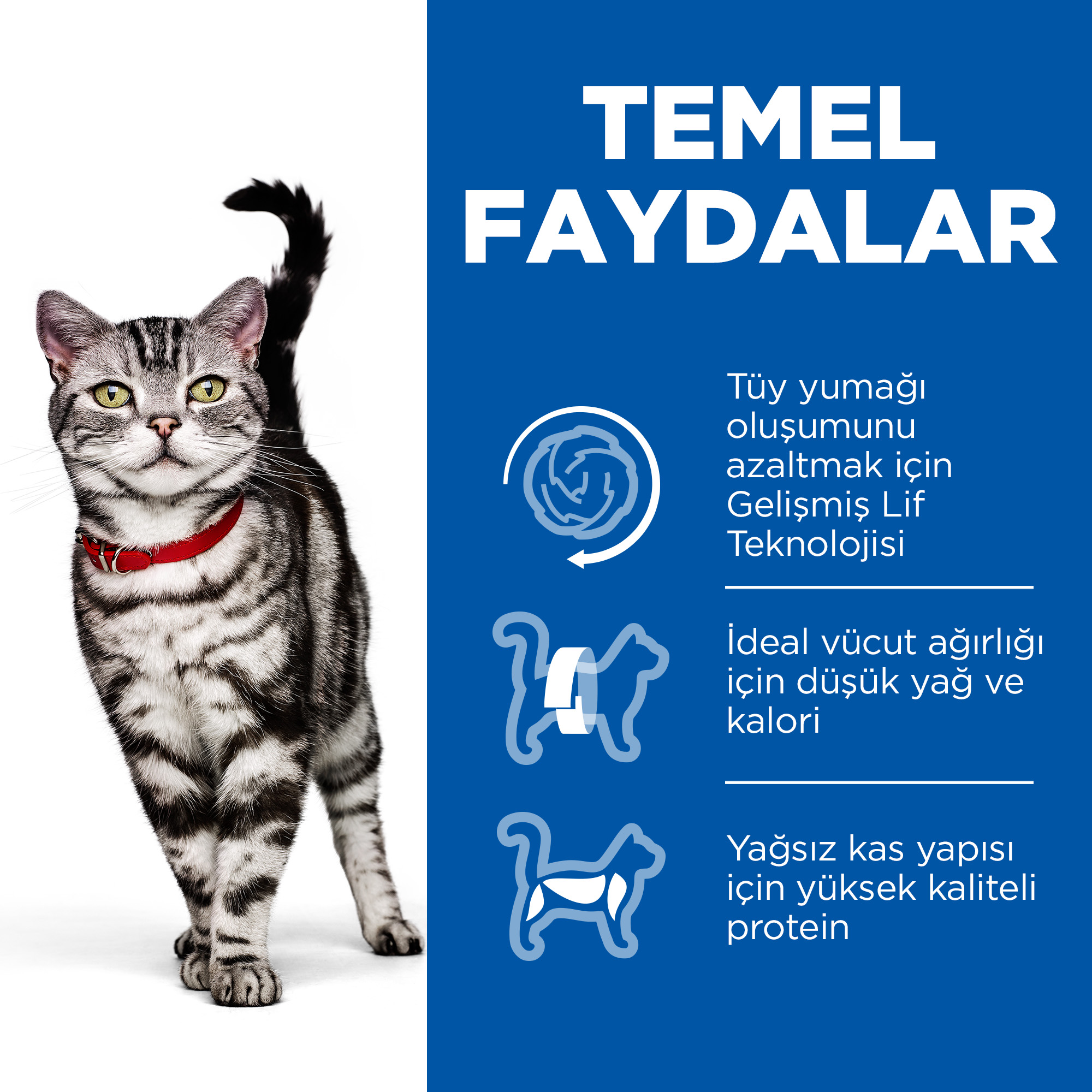 Hills Hairball İndoor Tavuklu Tüy Yumağı ÖnleyiciKedi Maması 1,5 Kg - Lisinya