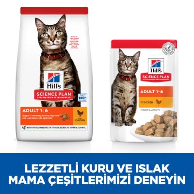 Hills Adult Tavuklu Yetişkin Kedi Maması 8+2 Kg - Lisinya