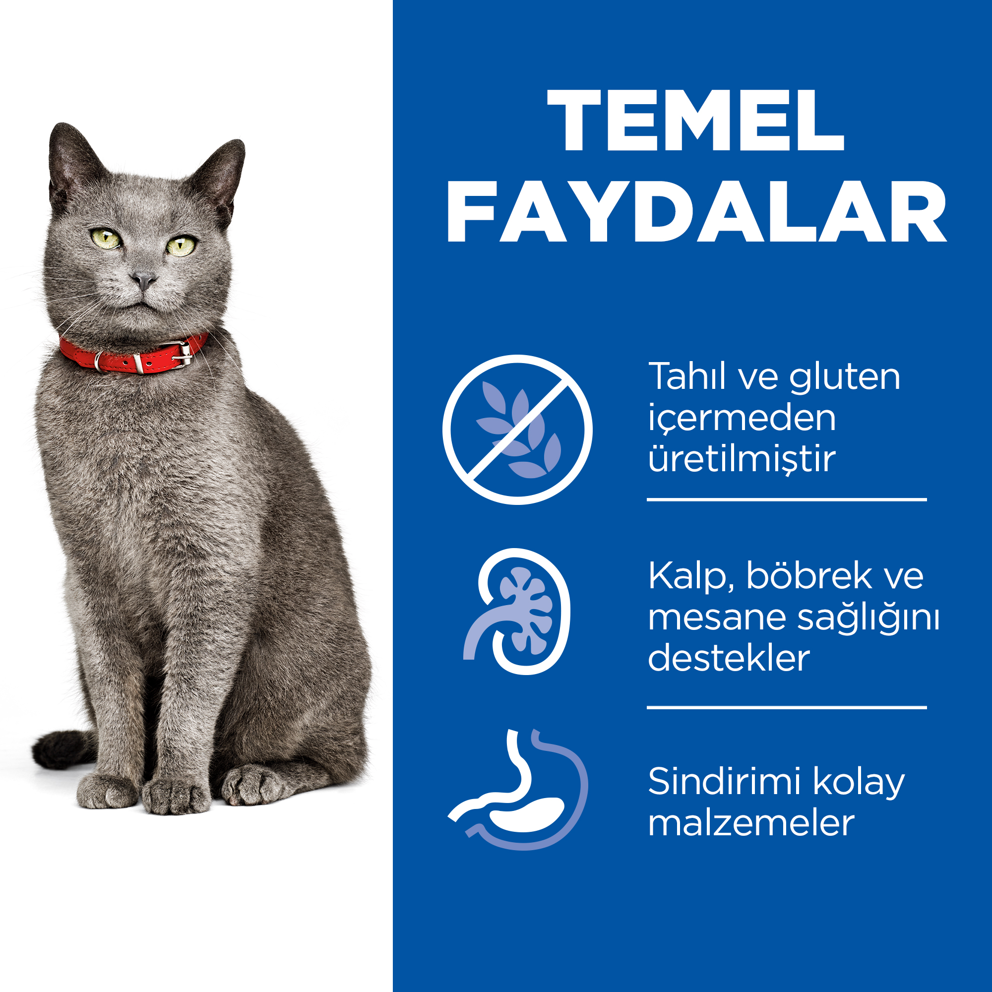 Hills Tahılsız Tavuklu Yaşlı Kedi Maması 1,5 Kg - Lisinya