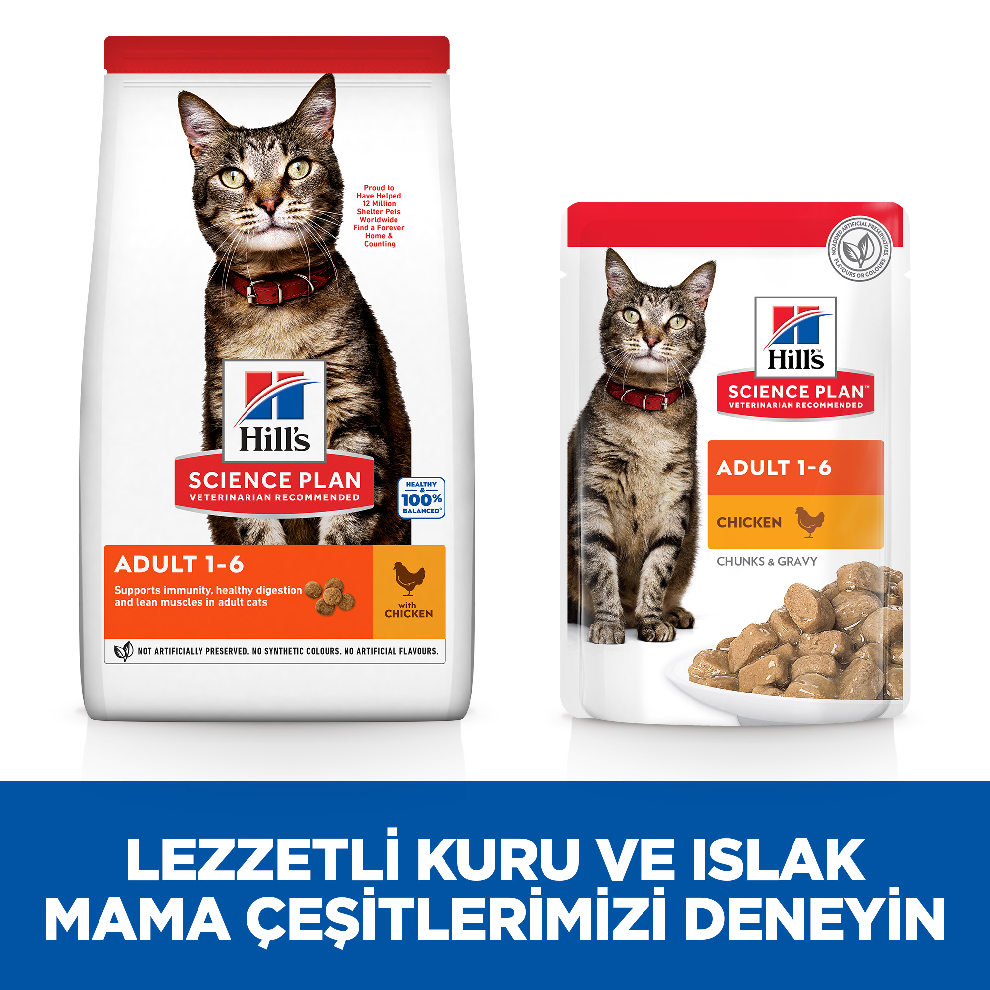 Hills Tavuklu Yetişkin Kedi Maması 1,5kg - Lisinya