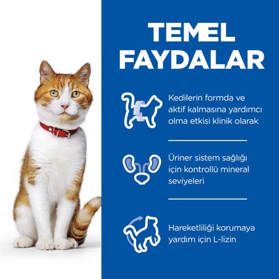 Hill 's Young Adult Sterilised Tavuklu Kısırlalaştırılmış Yetişkin Kuru Kedi Maması 3 kg - Lisinya