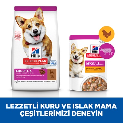 Hills Small Mini Küçük Irk Kuzulu Yetişkin Köpek Maması 1,5 Kg - Lisinya