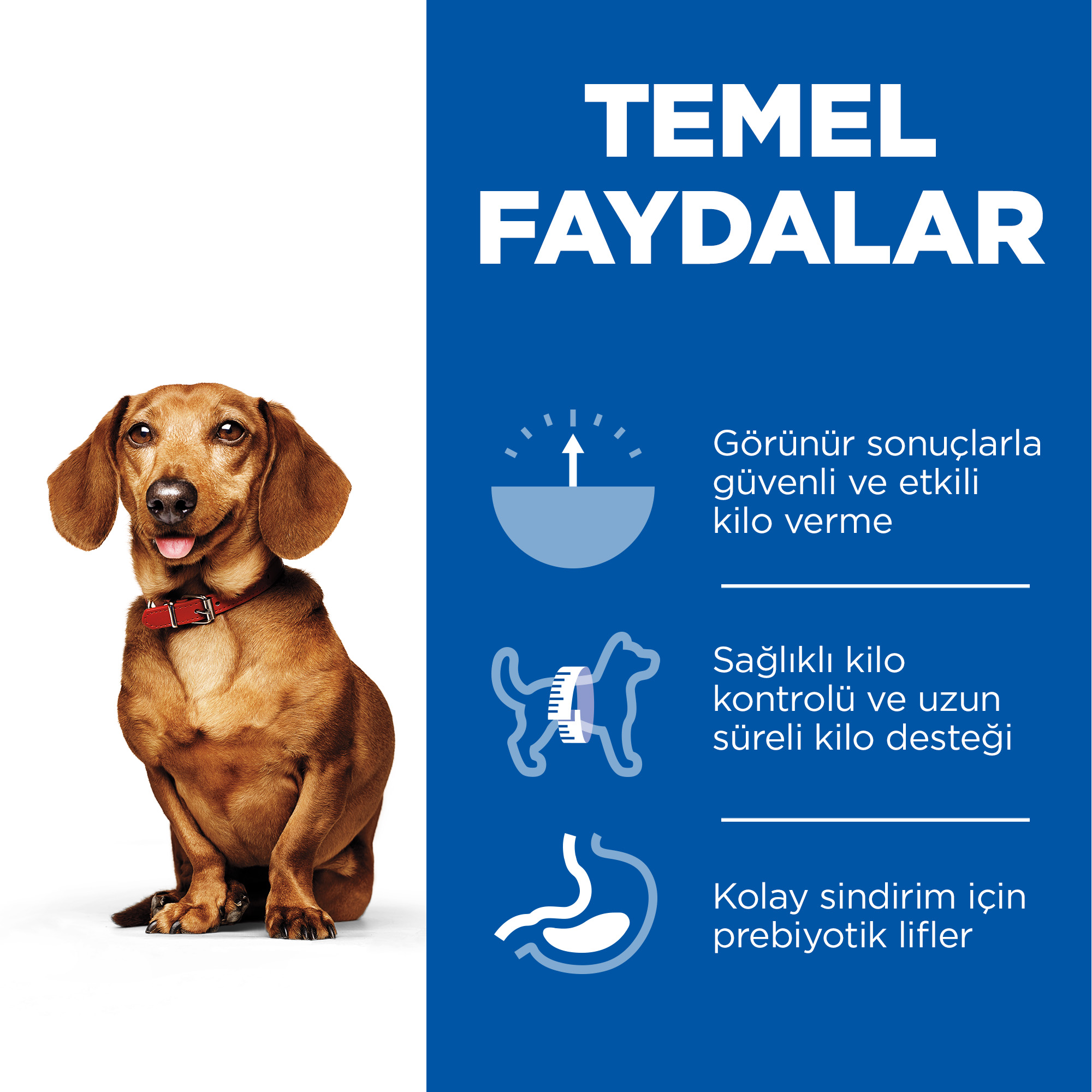 Hills Perfect Weight Tavuk Etli Small & Mini Küçük Irk Yetişkin Köpek Maması 1.5 Kg - Lisinya