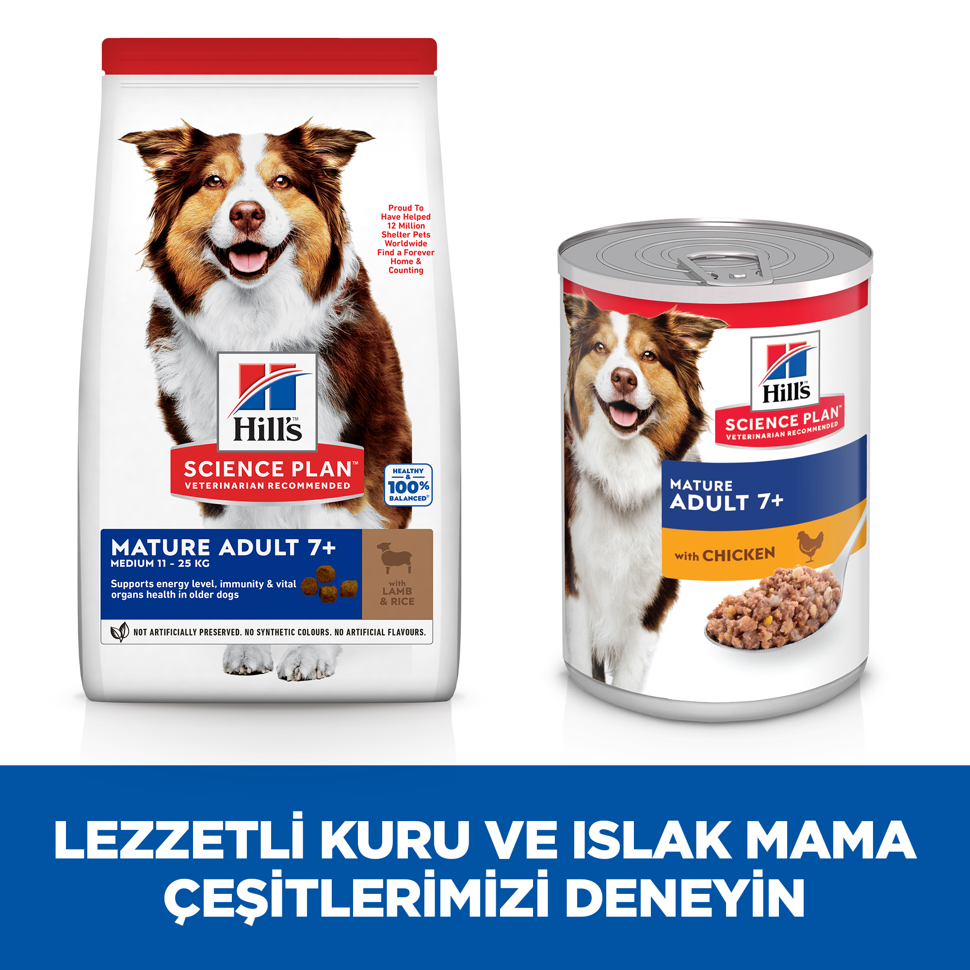 Hills Mature Senior +7 Medium Orta Irk Kuzu Etli Yaşlı Köpek Maması 2,5 Kg - Lisinya